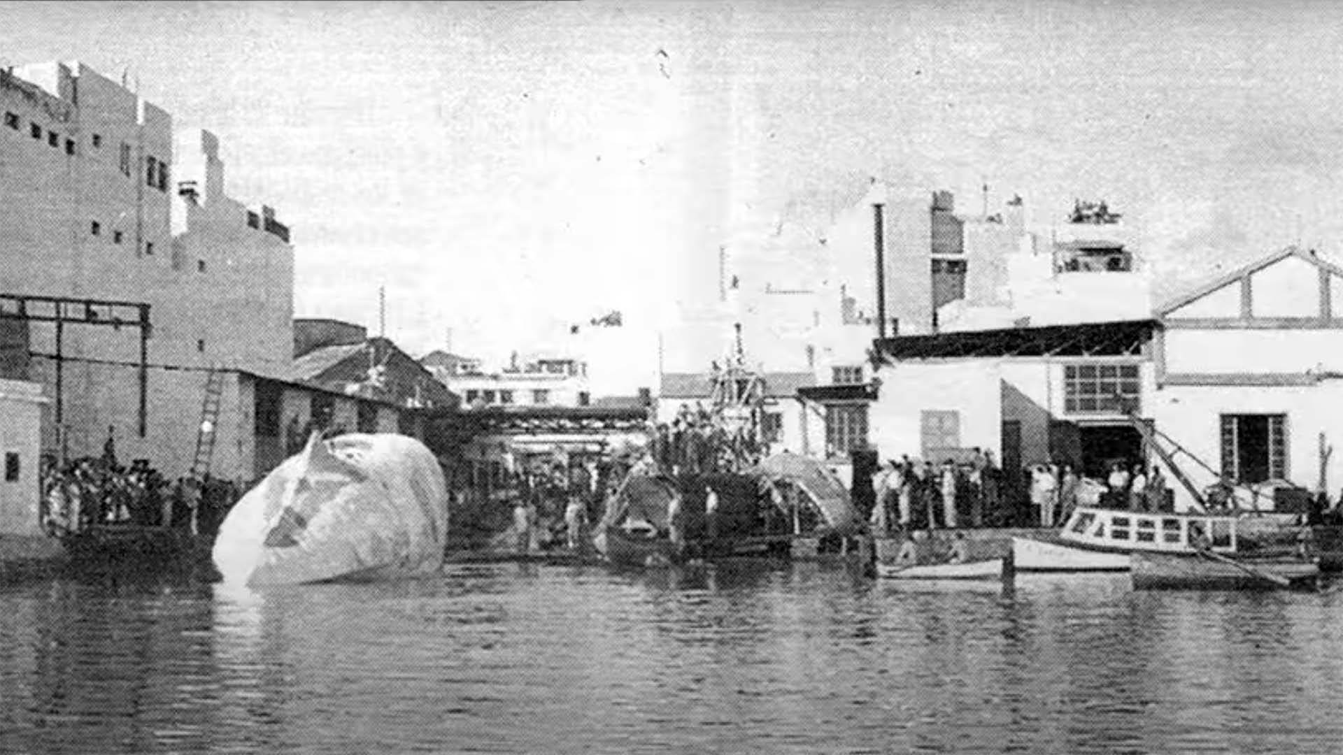 maqueta-de-moby-dick.jpg