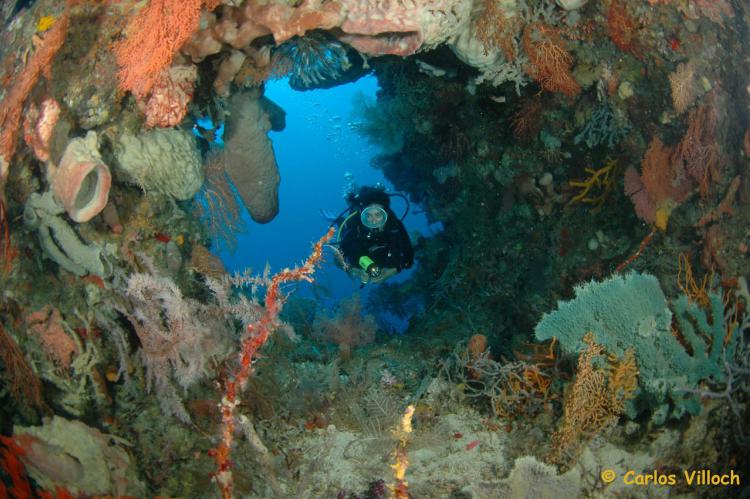 cueva