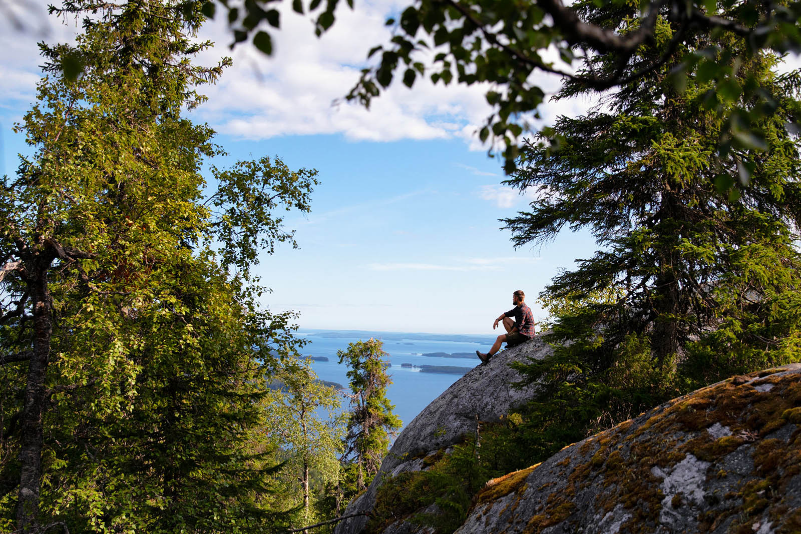 Koli National Park en North Karelia. Lakeland. Finlandia.