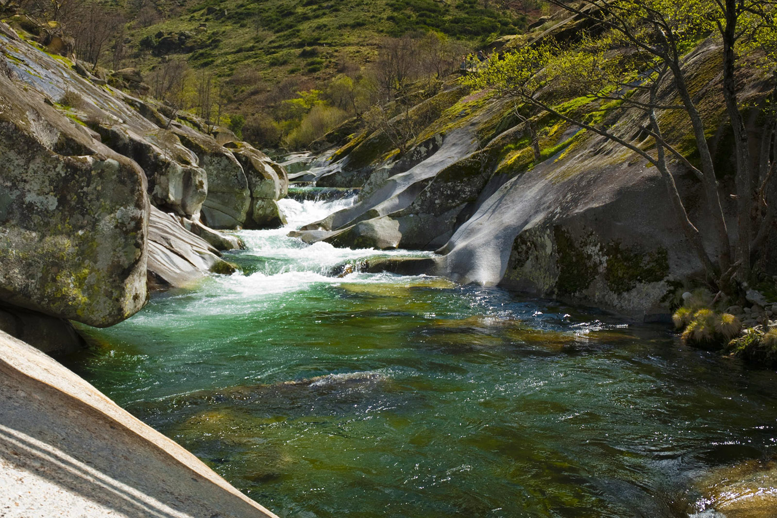 Los Pilones. Reserva natural Garganta de los Infiernos. Valle del Jerte en primavera