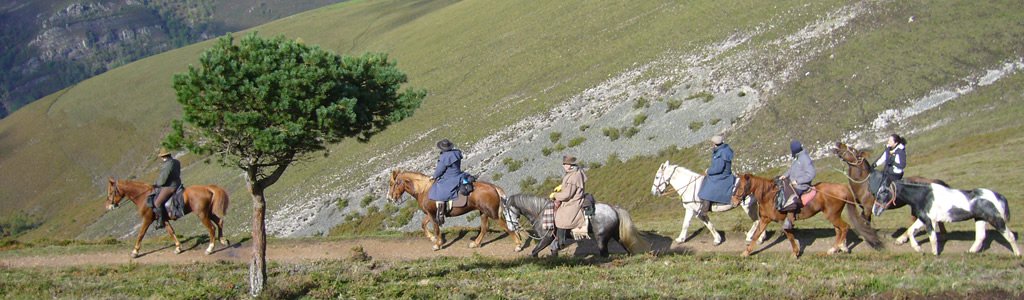 Camino de Santiago a caballo