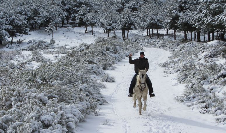 Gredos a caballo