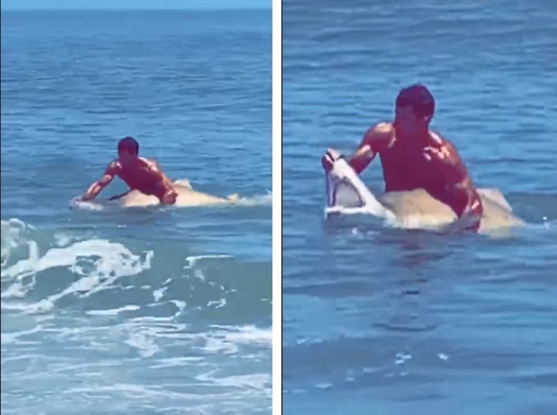 Vídeo: Un hombre atrapa un tiburón en la playa con sus propias manos