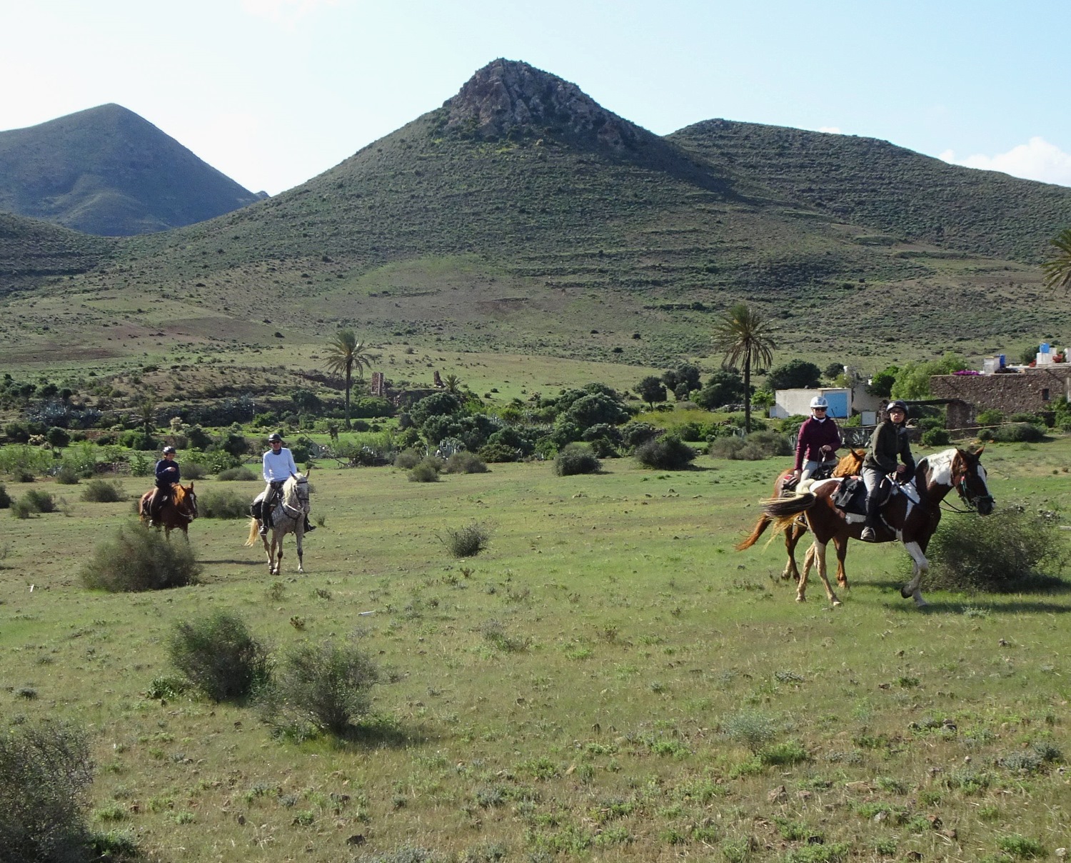 Andalucía a caballo.