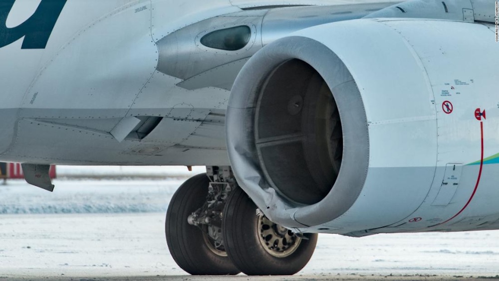 Un Boeing 737 choca con un oso cuando aterrizaba en Alaska