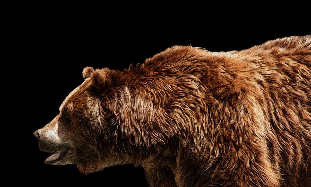 Un oso persigue a un "runner" durante más de media milla en el Grand Teton National Park