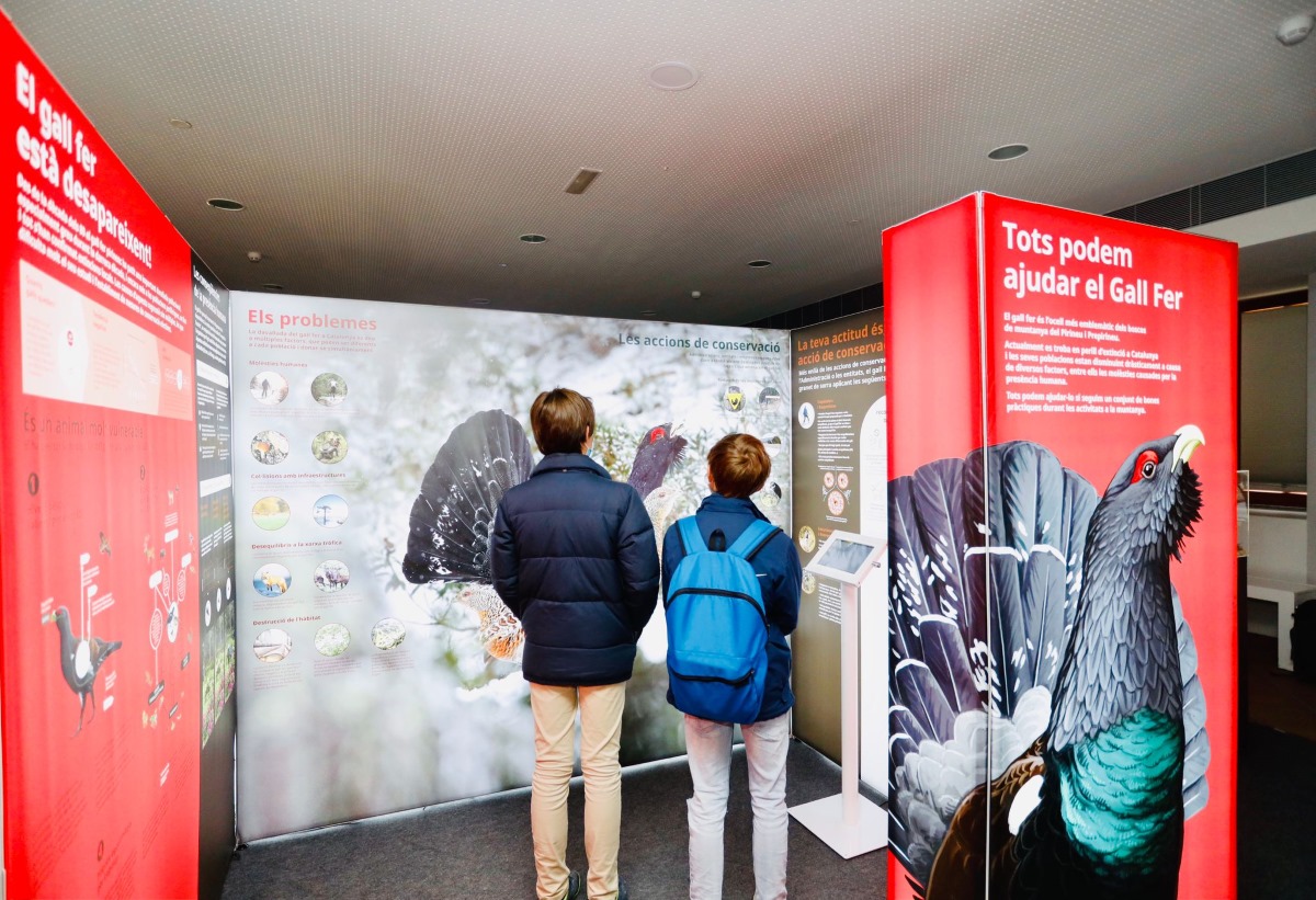 Vall de Núria inaugura el nuevo Observatorio de Aves y una exposición sobre el urogallo