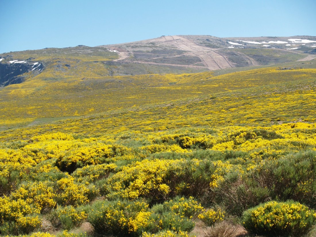 Sierra de Béjar – La Covatilla da el pistoletazo de salida a su temporada de verano 2021