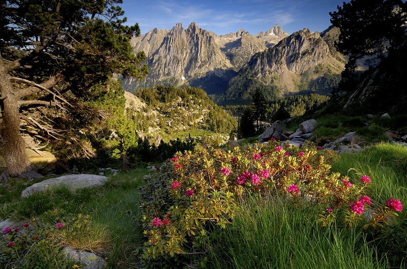 Parque Nacional de Aigüestortes y Estany de Sant Maurici. Fuente: Archivo Parque Nacional de Aigüestortes y Estany de Sant Maurici.