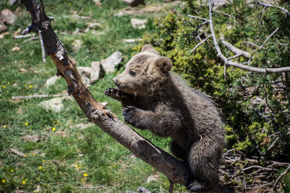 Naturland pasa página con el cierre definitivo del parque de animales
