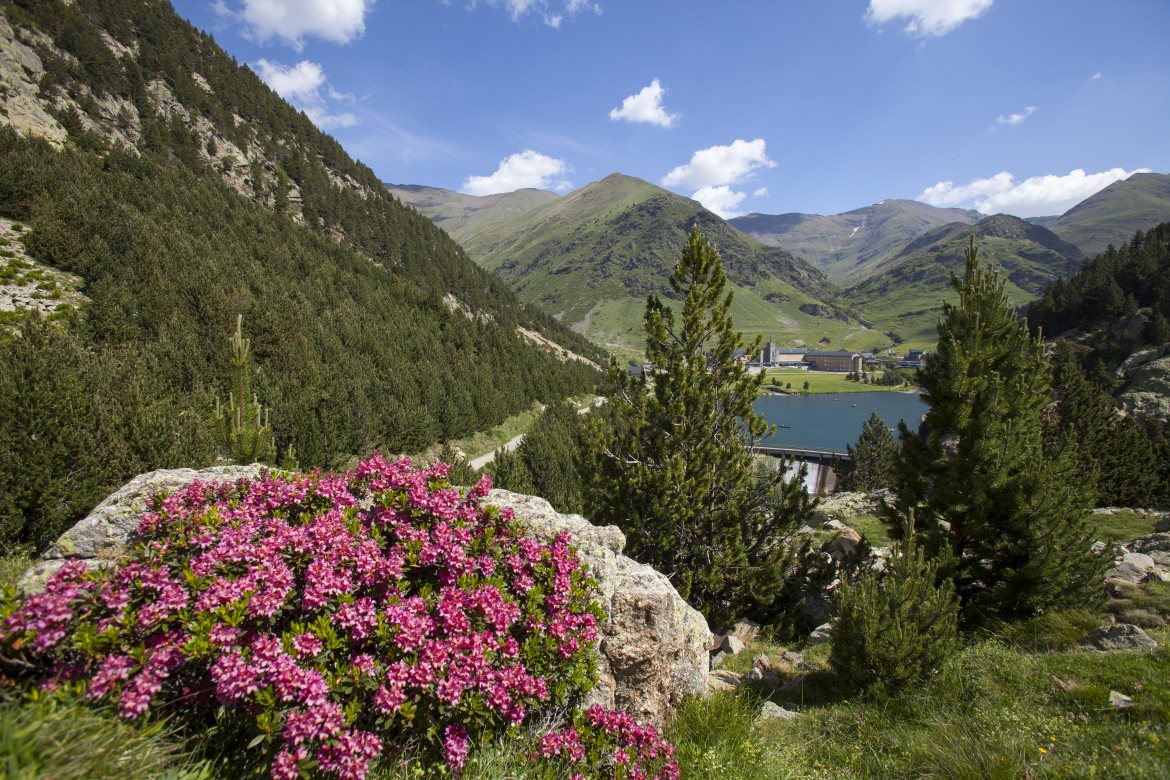 Ferrocarrils se adhiere a la Declaración de Glasglow sobre la acción climática en el ámbito del turismo