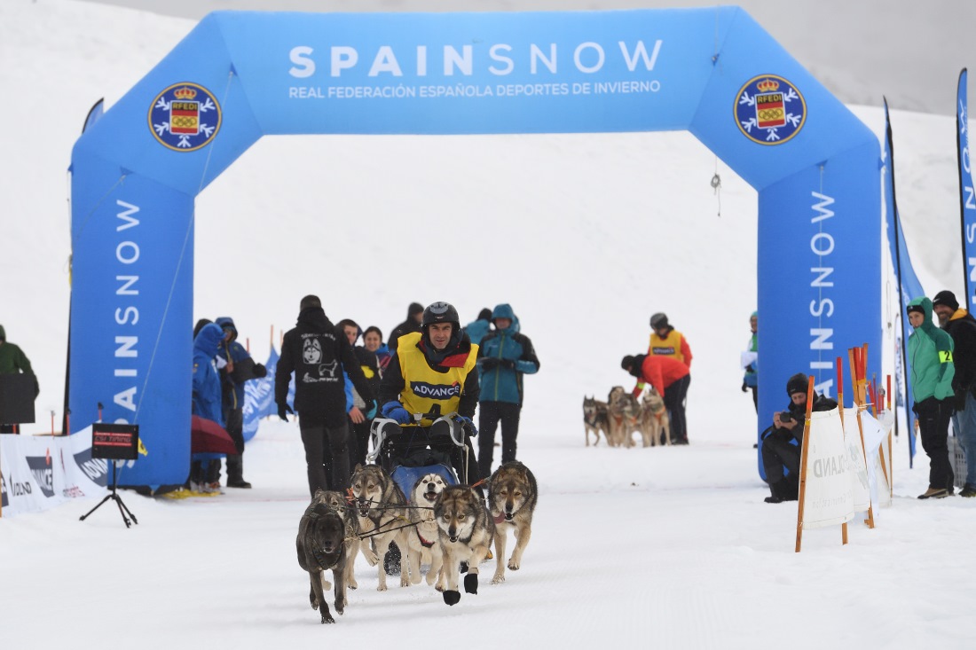 Los mejores mushers españoles participan en los Campeonatos de España sobre nieve Sprint en Baqueira Beret 