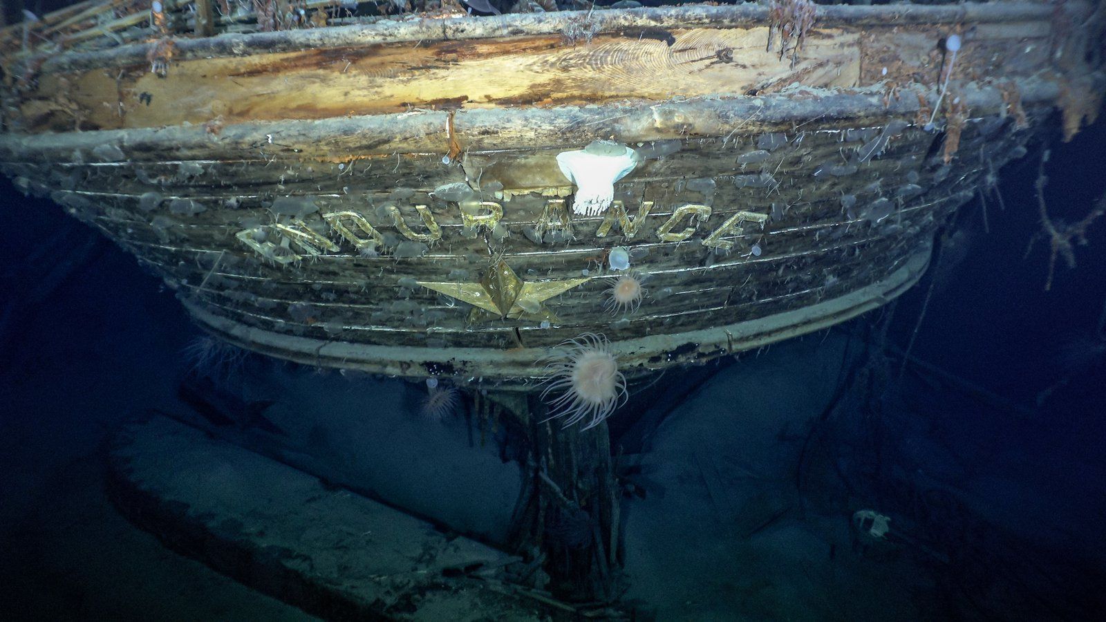 Hallados en la Antártida, los restos de uno de los naufragios más épicos de la historia naval