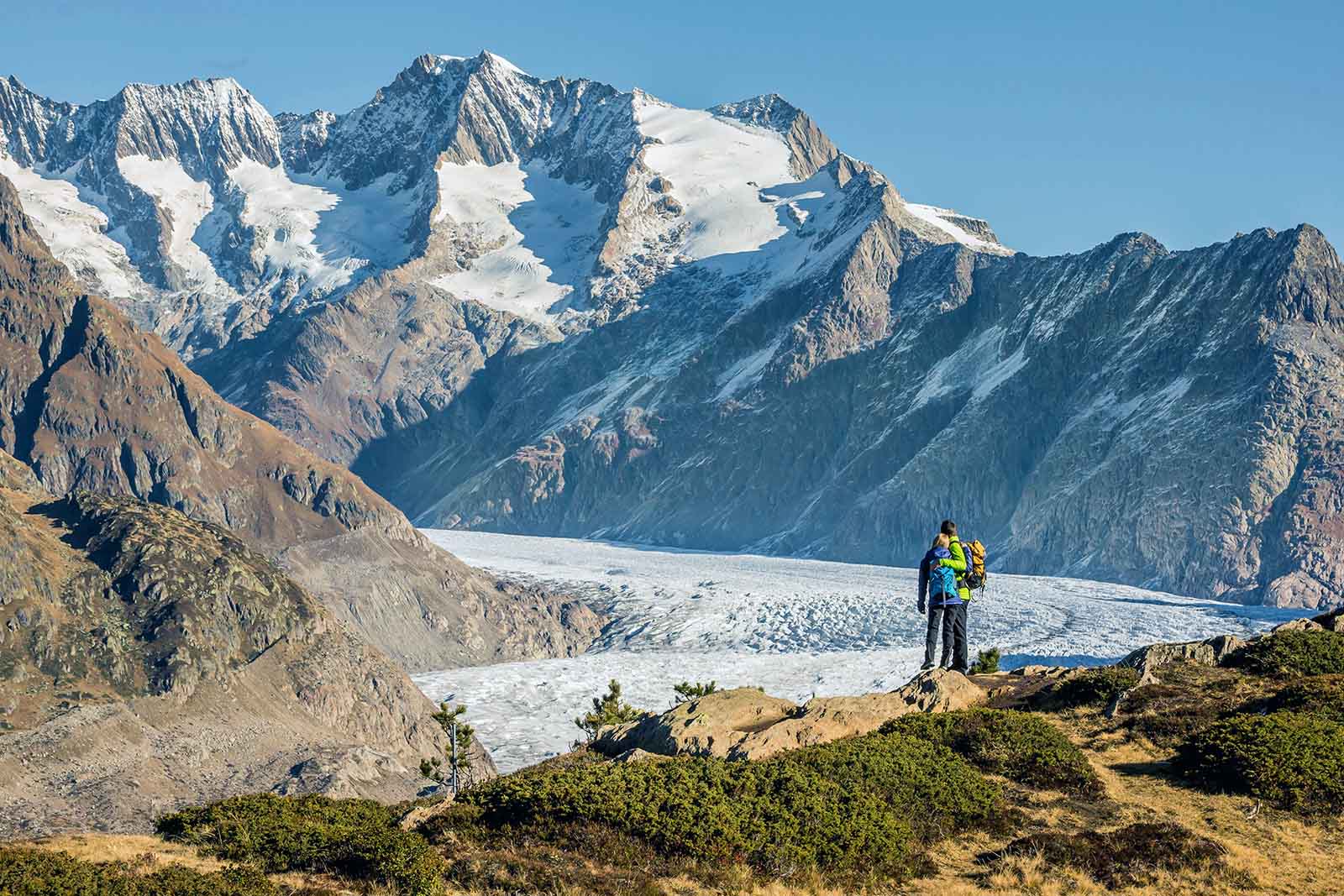 Glaciar Aletsch al fondo. Fotografía: Aletsch Arena ©️ Christian Pfammater