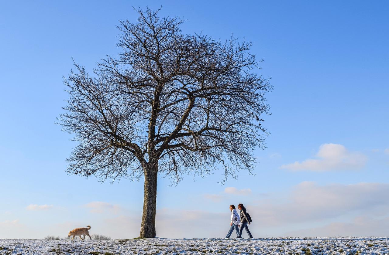 Caminar sobre la nieve mejora la forma en que la persona se siente con respecto a su cuerpo