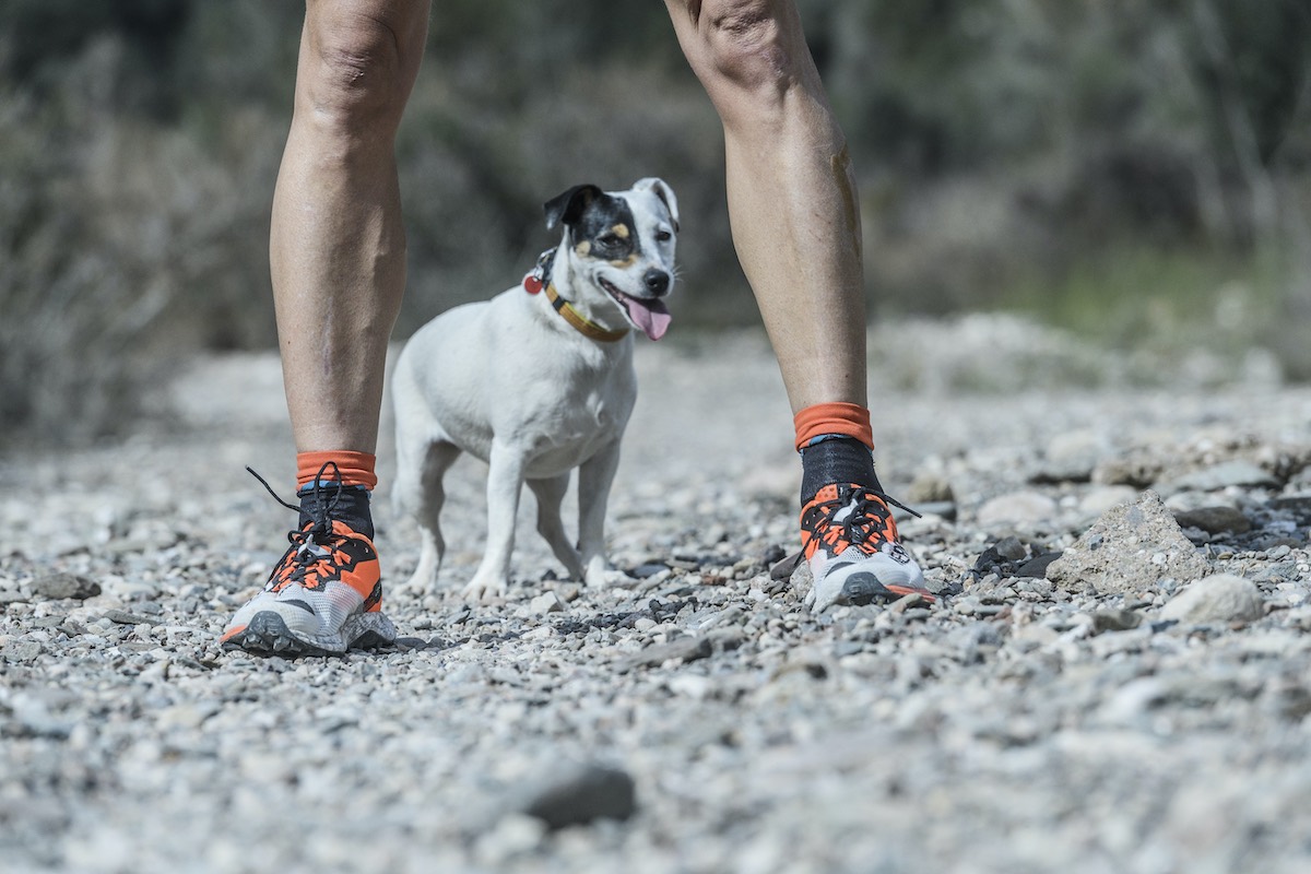 Merrell crea las zapatillas MTL Long Sky 2 para ganar la Marathon des Sables