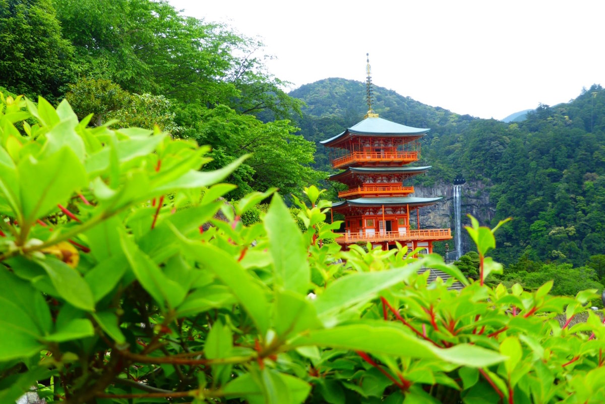 Japón: Camino de Kumano Kôdo. Senderismo y Cultura