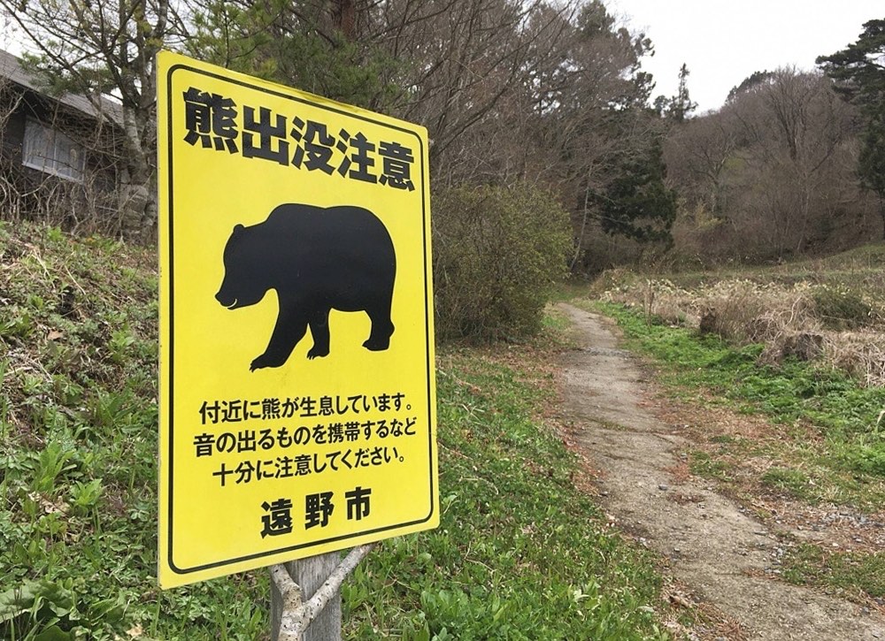 Japón facilitará la caza de osos en zonas residenciales ante el aumento de los ataques