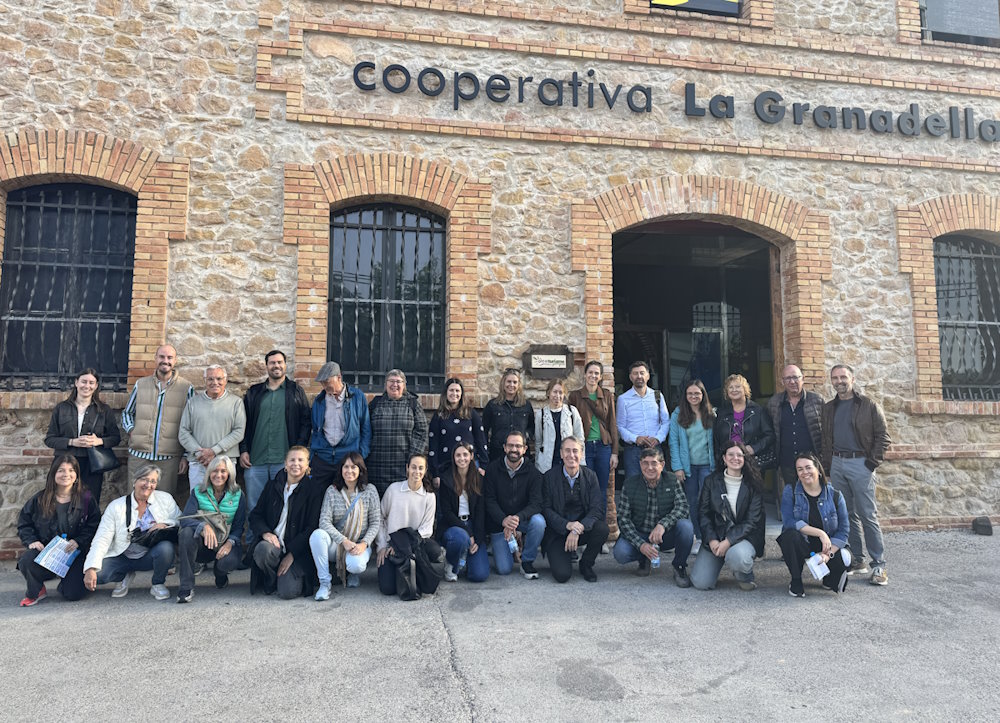 Las Tierras de Lleida impulsan su oferta de oleoturismo para preservar el paisaje agrario