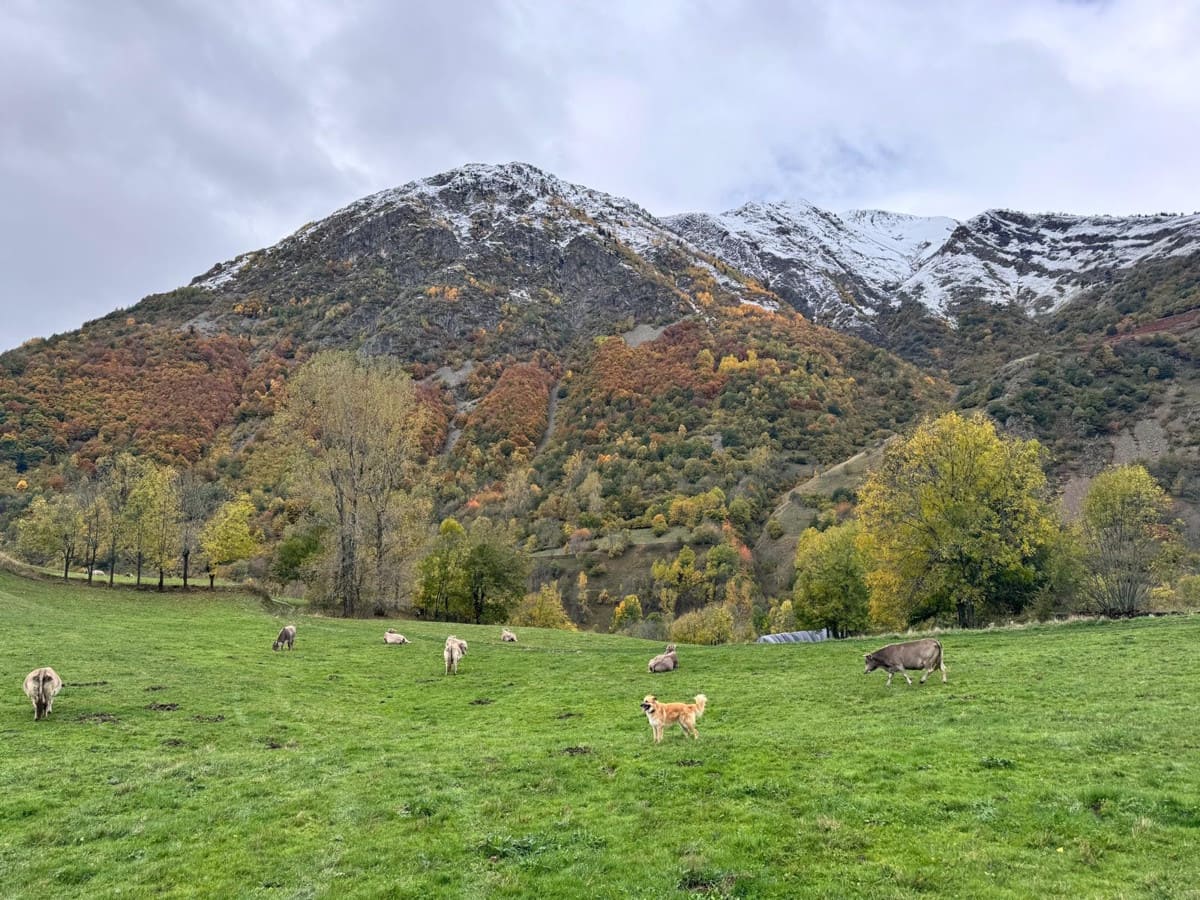 La Val d’Aran, coronada como Mejor Destino Natural de España por National Geographic
