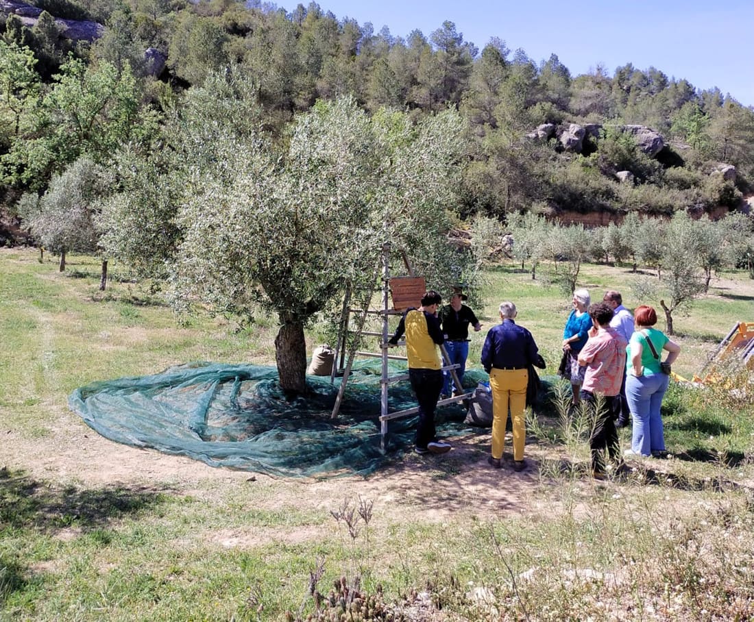 Lleida apuesta por el oleoturismo y el enoturismo con una formación especializada para empresas del sector