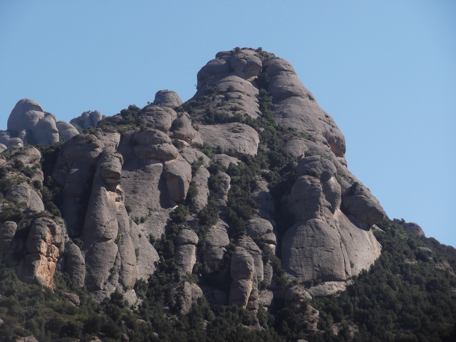 Prohibida la escalada en dos agujas de Montserrat para proteger al halcón mostachado
