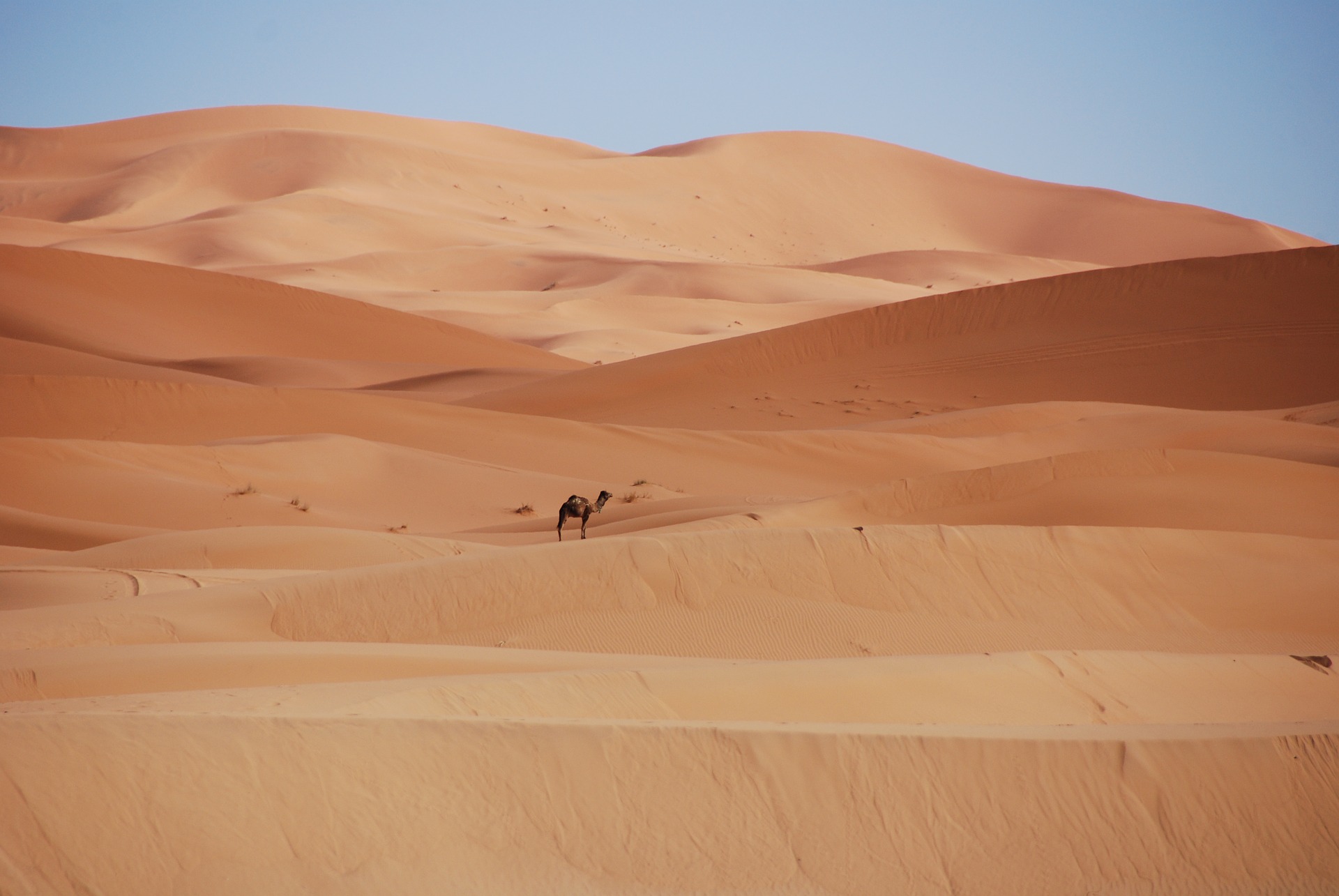 Desierto del Sáhara