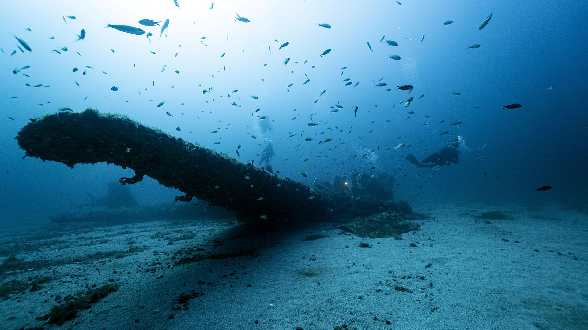 1-JUNKER-hundido-en-menorca-pecio-fotografia-JULIA MIRALLES.jpg 