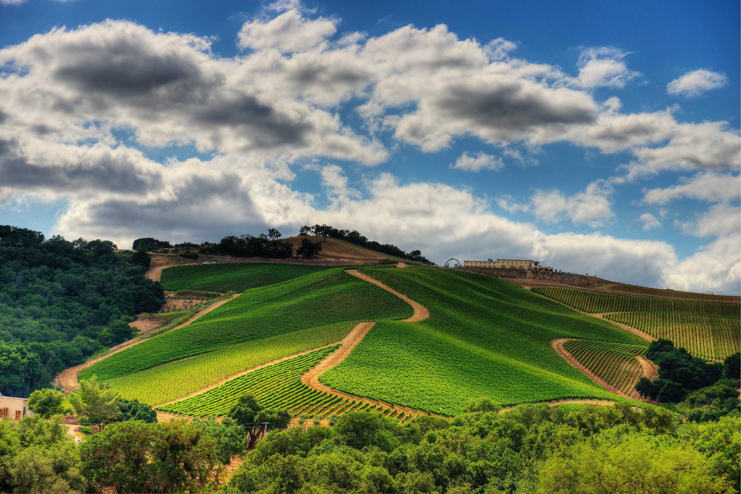 11-paso-robles-adobestock.jpg 