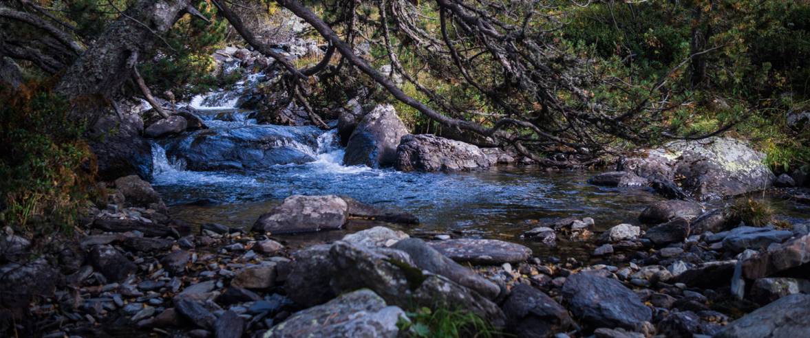1177x492_parc-natural-de-sorteny_3.jpg