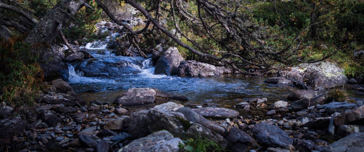 1177x492_parc-natural-de-sorteny_3.jpg 