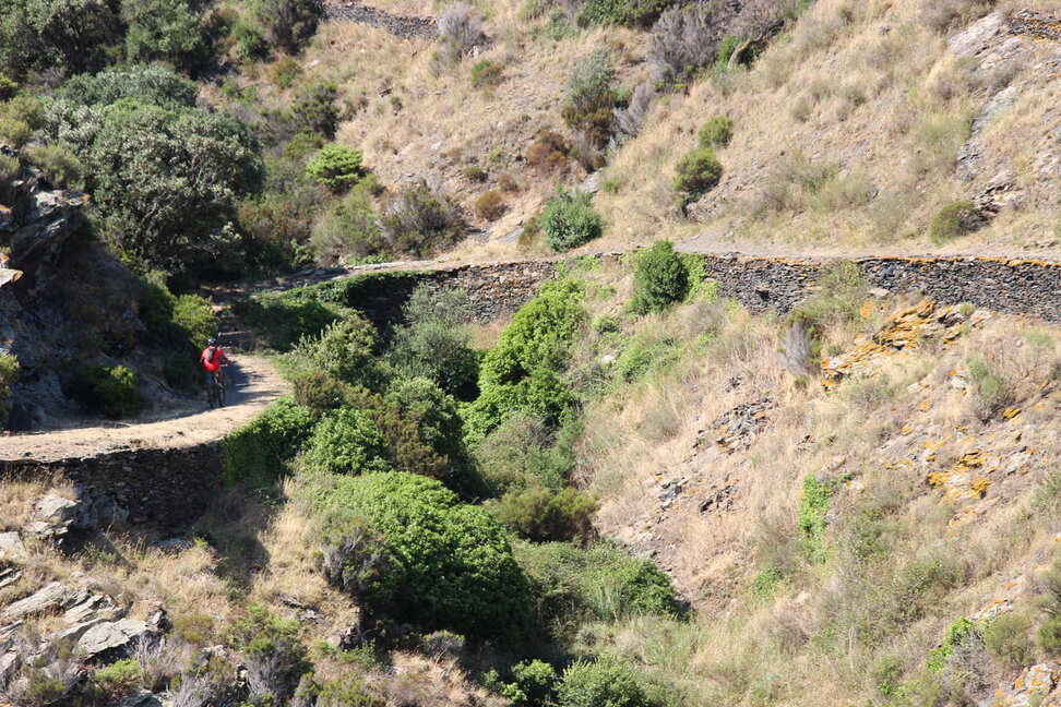 caminoport