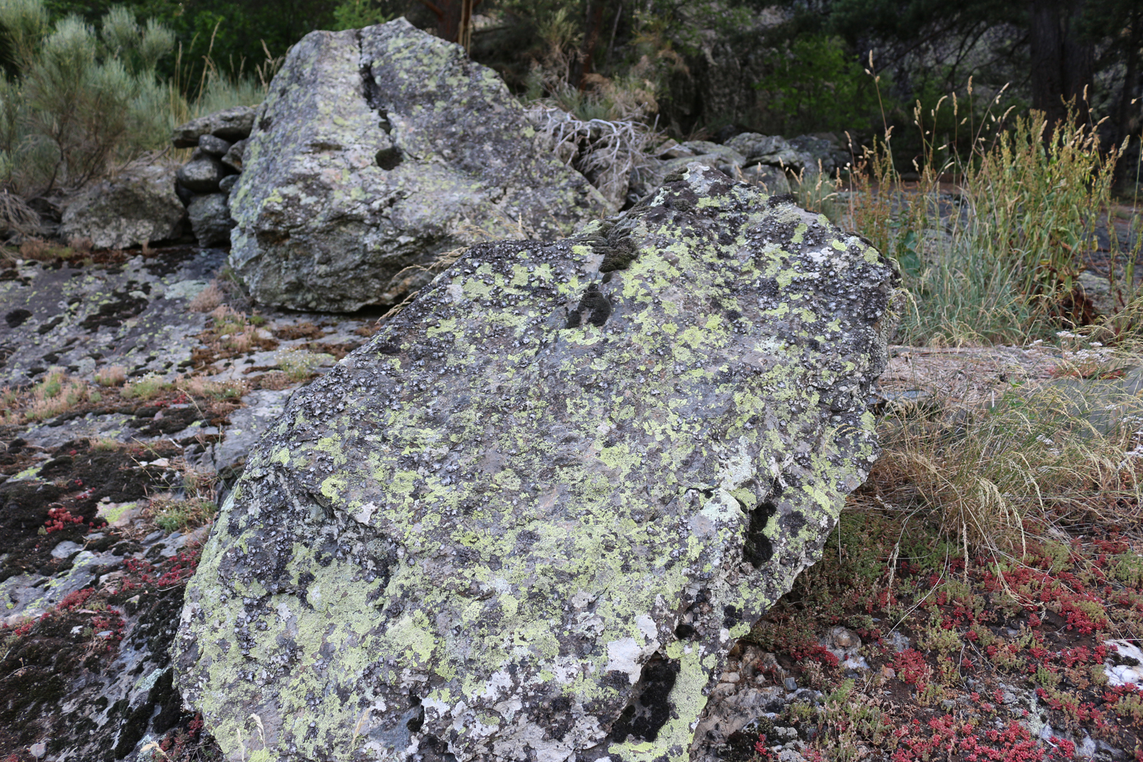 Roca pirenaica