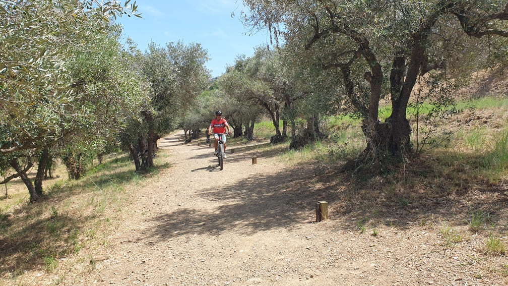 Paso por Selva de Mar