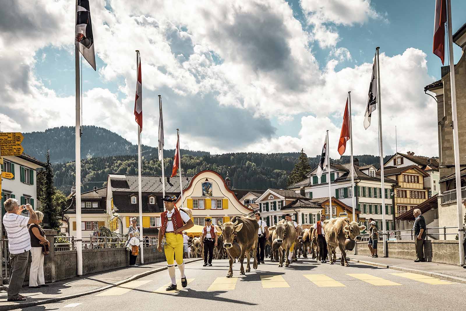 Appenzell-Alpabzug_©_Switzerland_Tourism_Jan_Geerk copia.jpeg 