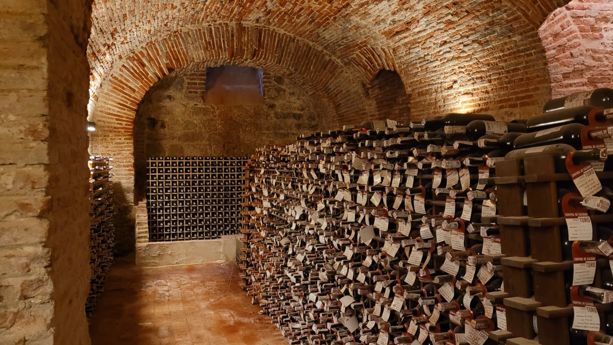 Bodega subterránea de los Condes de Requena-Lali Ortega Cerón