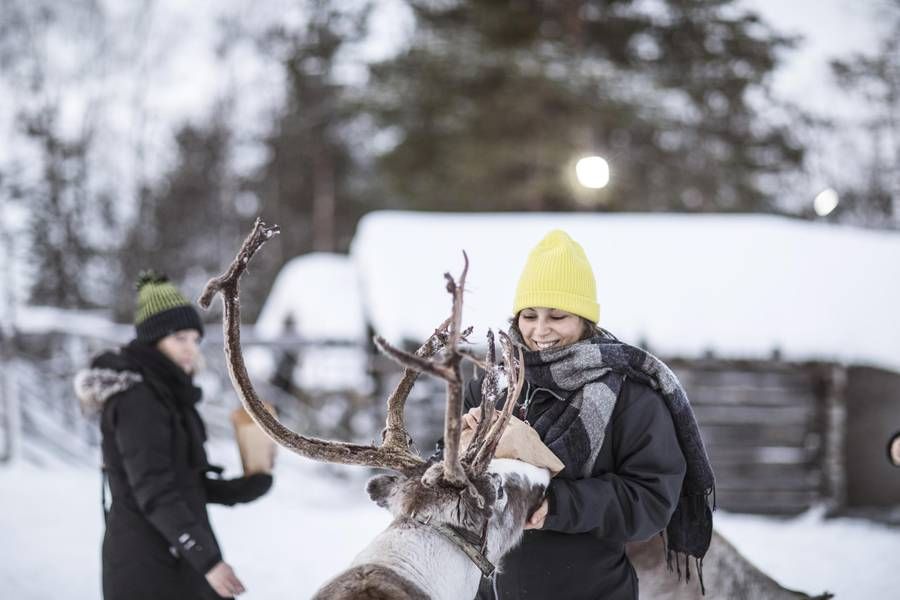 Dando de comer a un reno-sami-foto-Tina Stafrén-imagebank-sweden-se-lugaresdeaventura.jpg