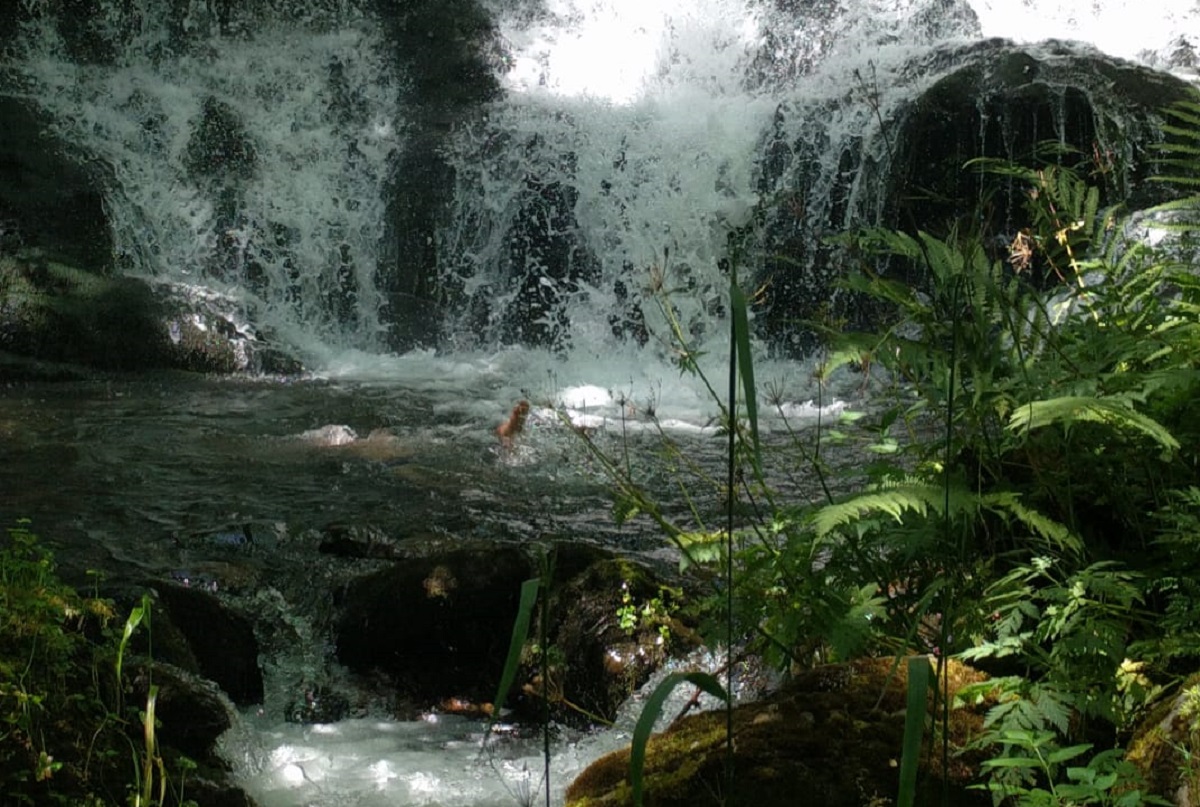 Poza para refrescarse en la excursión de El Catllar. (Foto: Albert Joher).