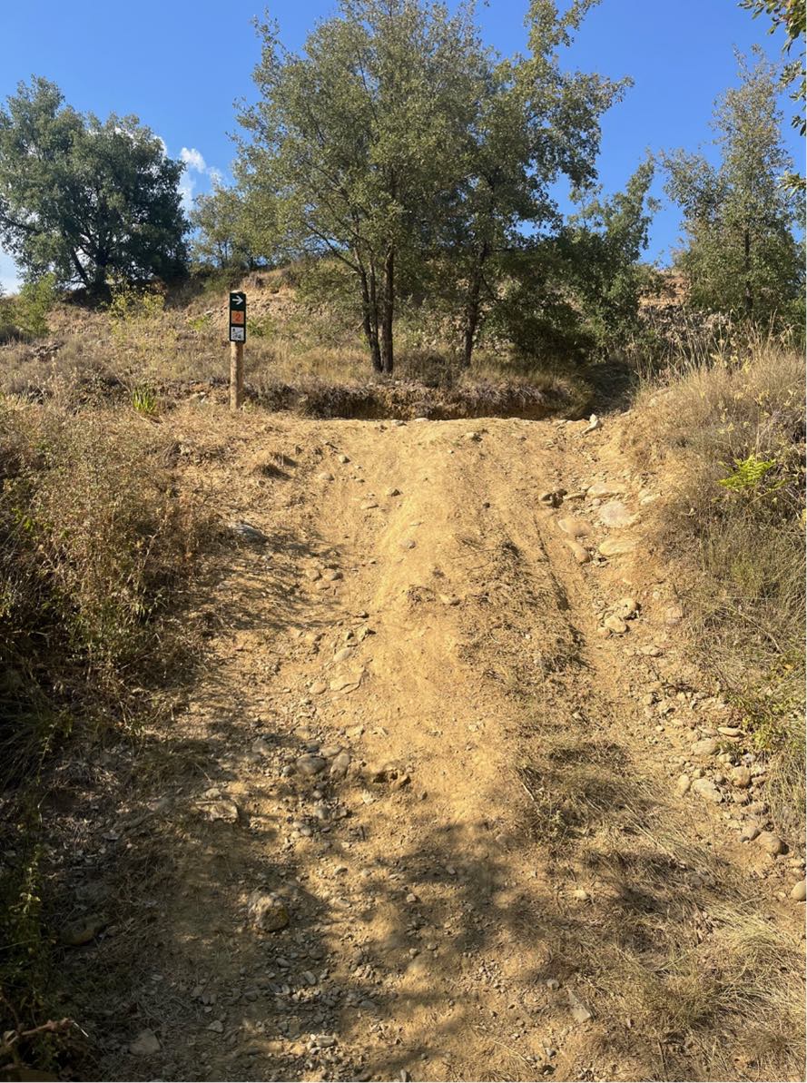 Estat actual de la zona del barranc de Espona