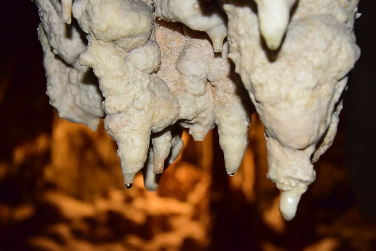 Formación de estalactitas en un cenote.