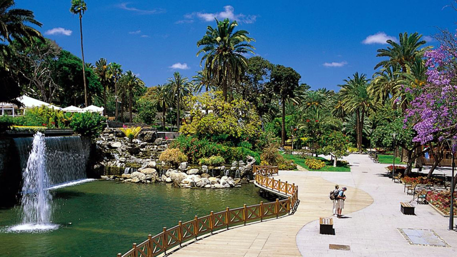 Gran-Canaria-Parque-Doramas_g.jpg 