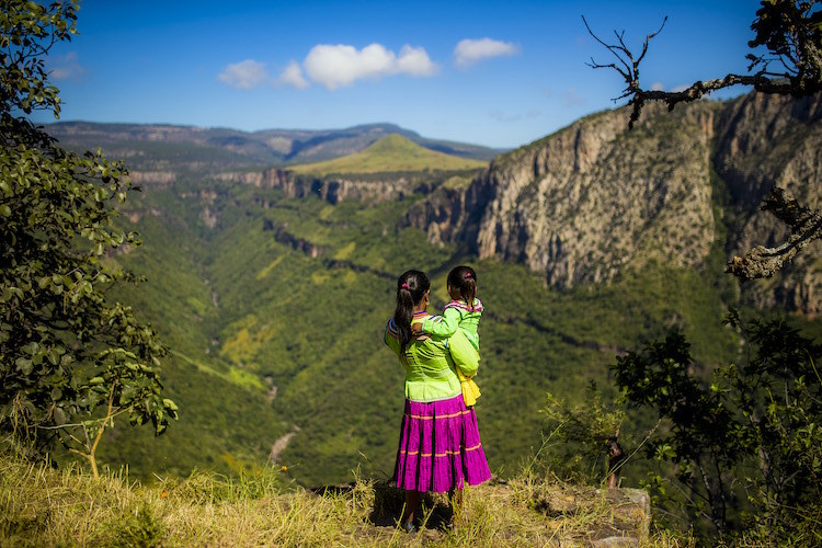 (Foto: Comunidad Huichol).