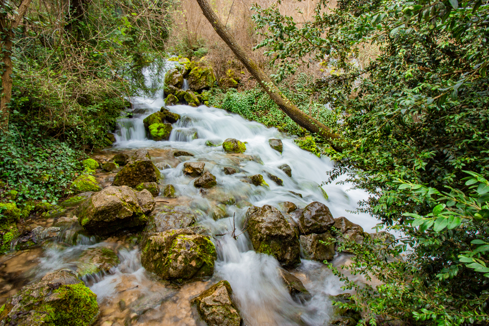 Rio Cardener