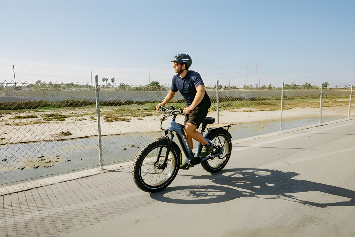 Mokwheel Basalt: Bicicleta eléctrica de montaña para adultos 