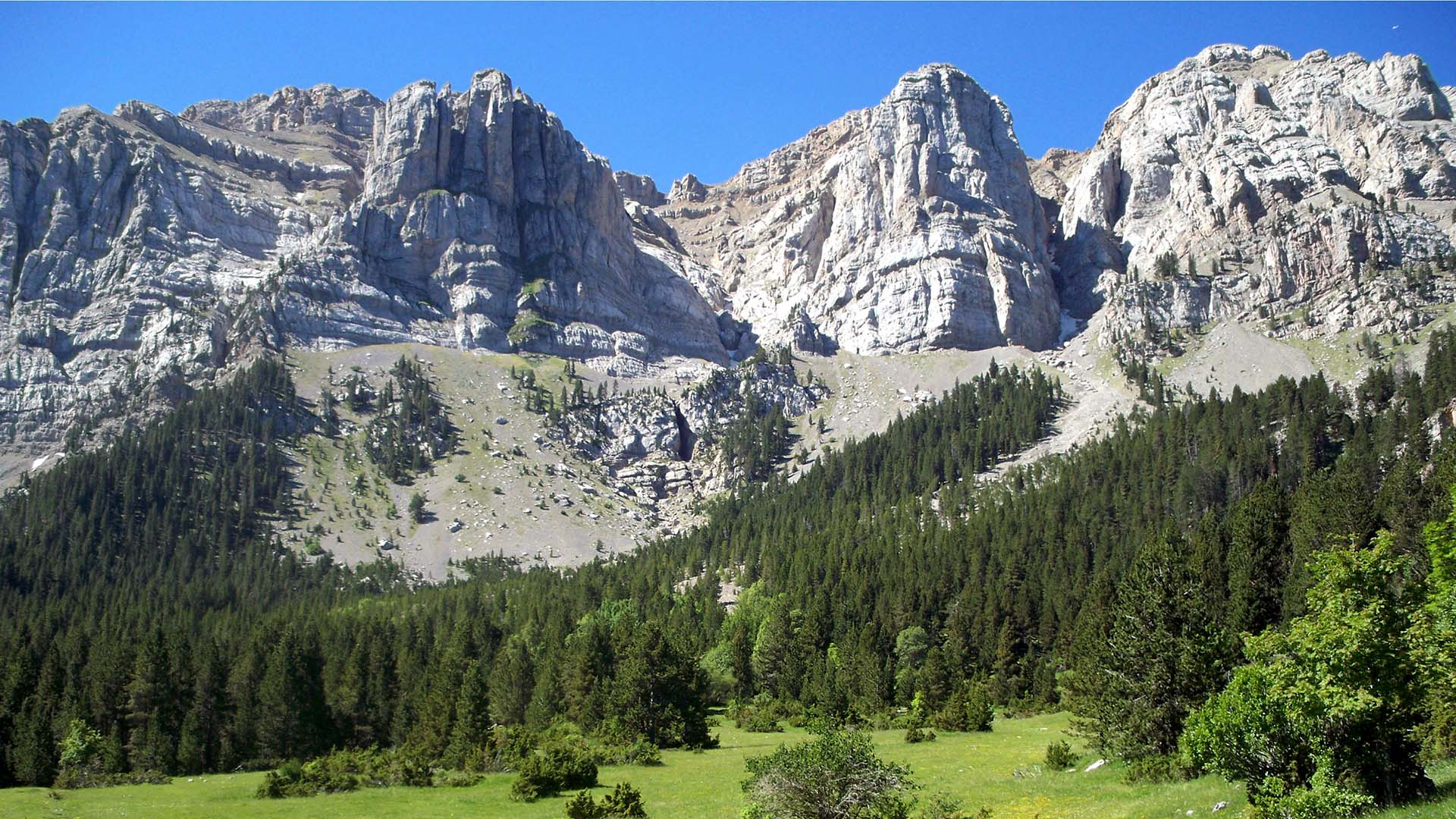 Prat de Cadí. La Cerdanya. Parque Natural Cadí-Moixeró. Fotografia: Patroat de Turisme de la Diputació de Lleida. Autor: Núria Costa