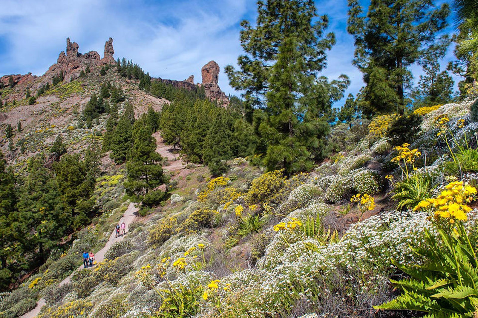 Roque-Nublo-gran-canaria-lugares-de-aventura.jpg