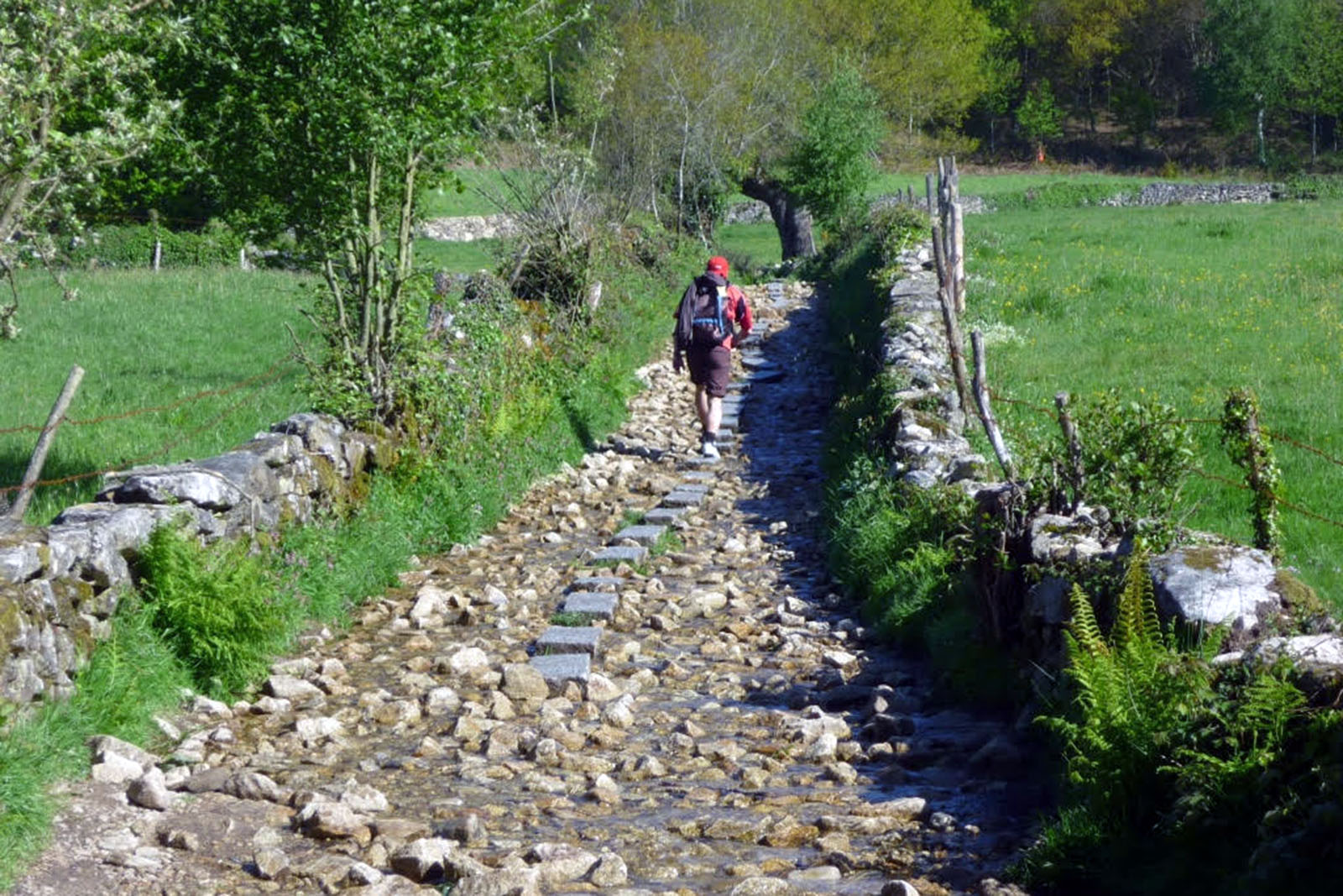 Camino de Santiago