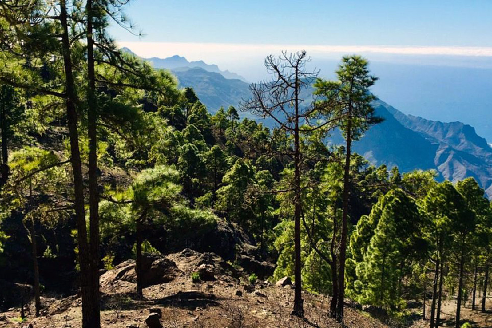 Tamadaba-2-gran-canaria-lugares-de-aventura.jpg 