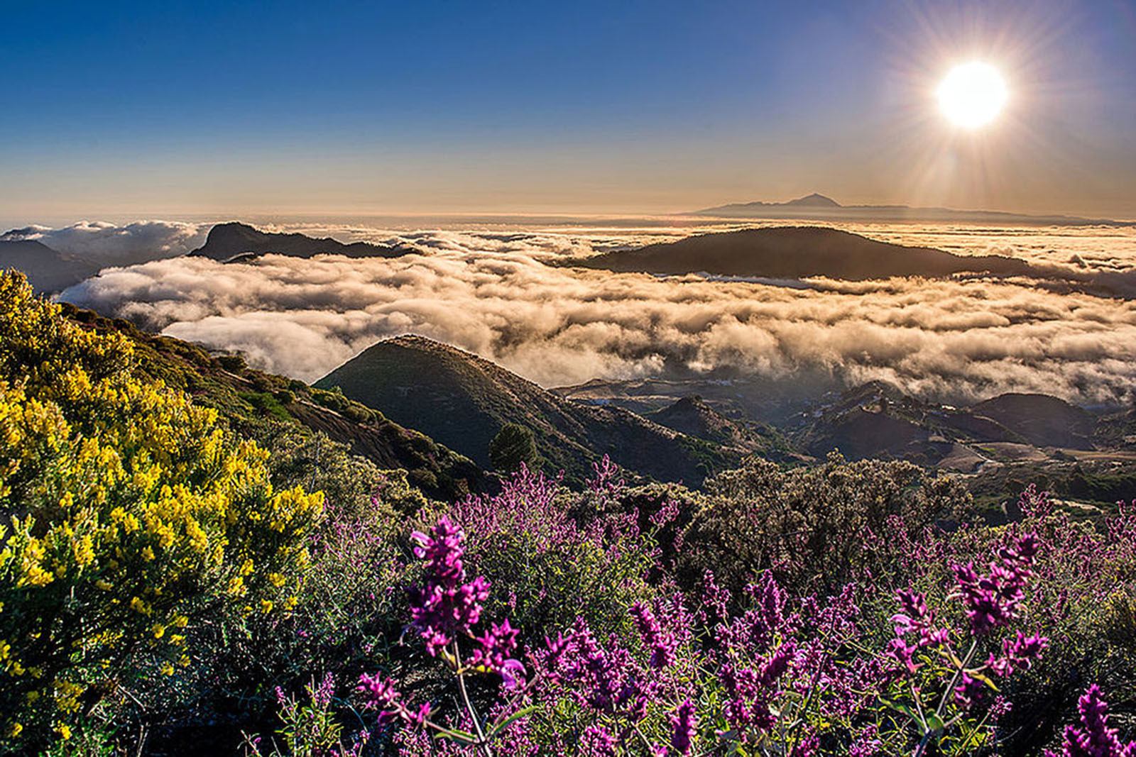 Tamadaba-gran-canaria-lugares-de-aventura_0.jpg 