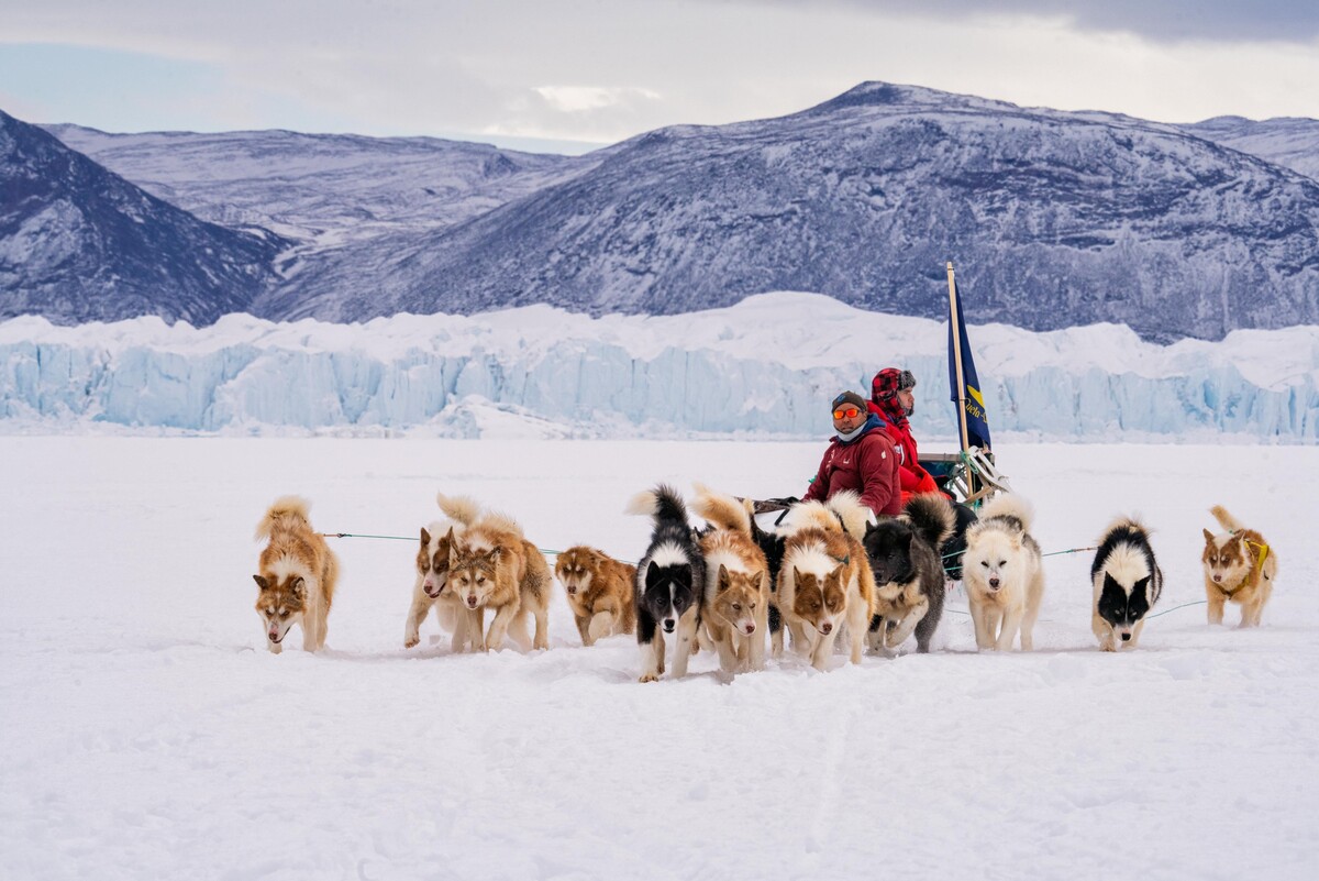 Desafío Ártico: Operación Perros del Hielo